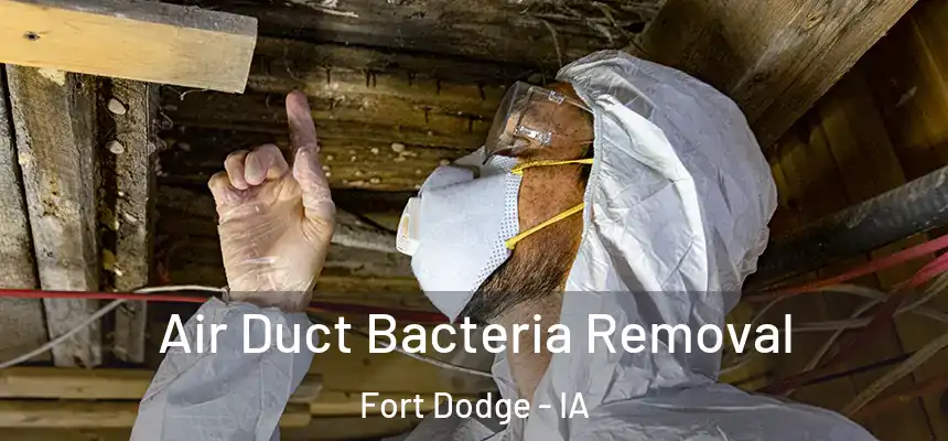  Air Duct Bacteria Removal Fort Dodge - IA