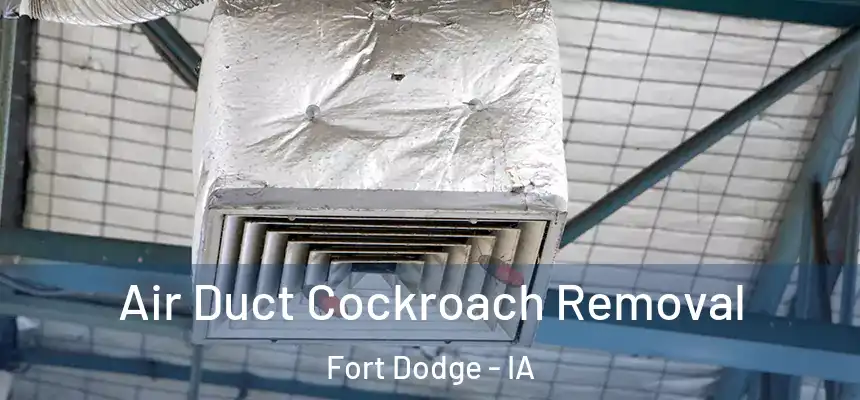  Air Duct Cockroach Removal Fort Dodge - IA