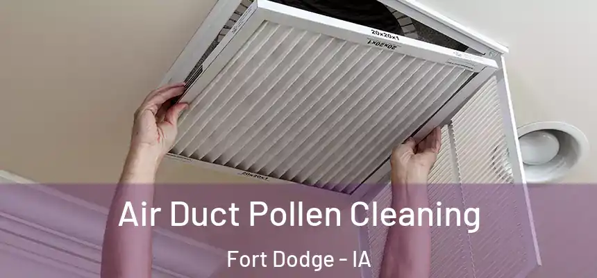  Air Duct Pollen Cleaning Fort Dodge - IA