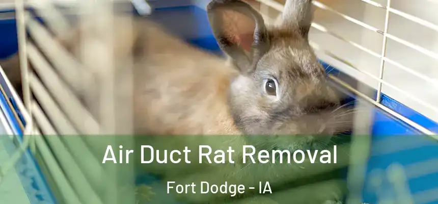  Air Duct Rat Removal Fort Dodge - IA