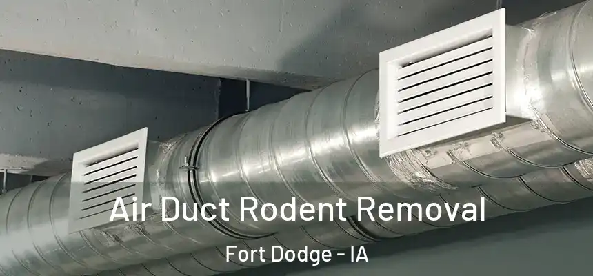 Air Duct Rodent Removal Fort Dodge - IA
