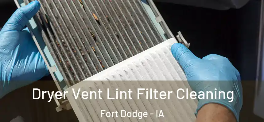 Dryer Vent Lint Filter Cleaning Fort Dodge - IA