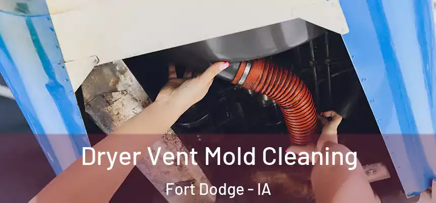 Dryer Vent Mold Cleaning Fort Dodge - IA