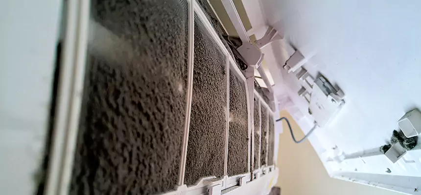 Preventive Air Duct Bacteria Removal in Fort Dodge