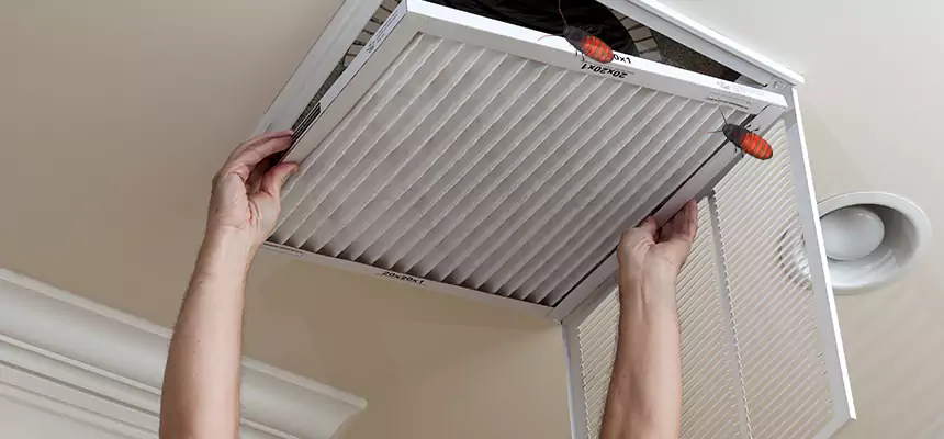 Preventive Cockroach-Proofing for Ducts in Fort Dodge