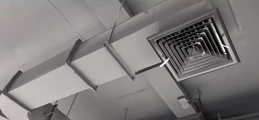 Restorative Allergy Relief Vent Cleaning – Coil, Blower & Housing Detail in Fort Dodge