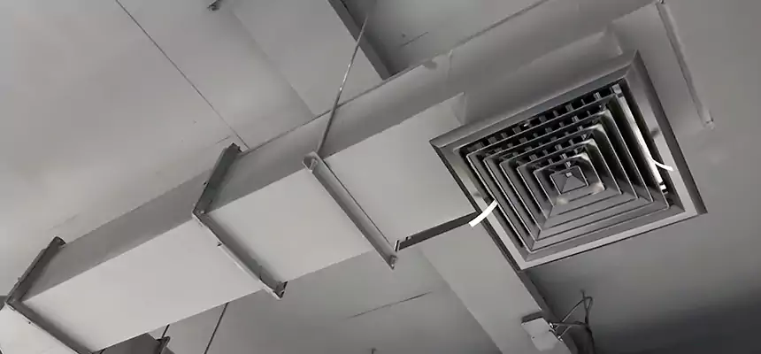 Our Rodent Droppings In Vents Services in Fort Dodge, IA