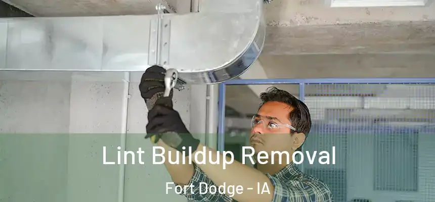 Lint Buildup Removal Fort Dodge - IA