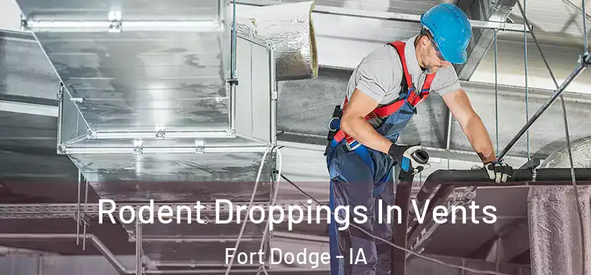 Rodent Droppings In Vents Fort Dodge - IA