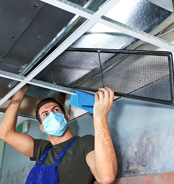 Professional Air Duct Pollen Cleaning in Fort Dodge, IA