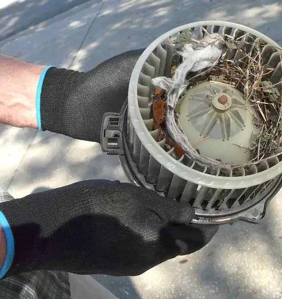 About Air Duct Rat Removal in Fort Dodge, IA