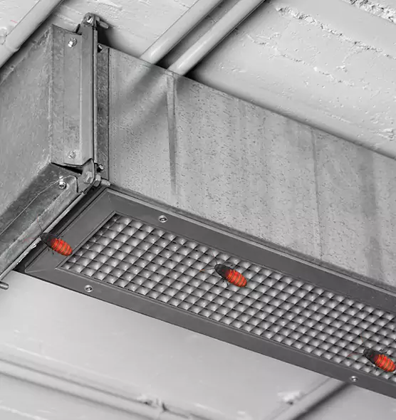 Affordable Insect Removal from Air Ducts in Fort Dodge, IA