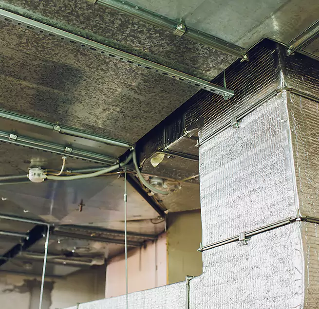 Why Homeowners & Businesses Trust Us in Fort Dodge, IA?